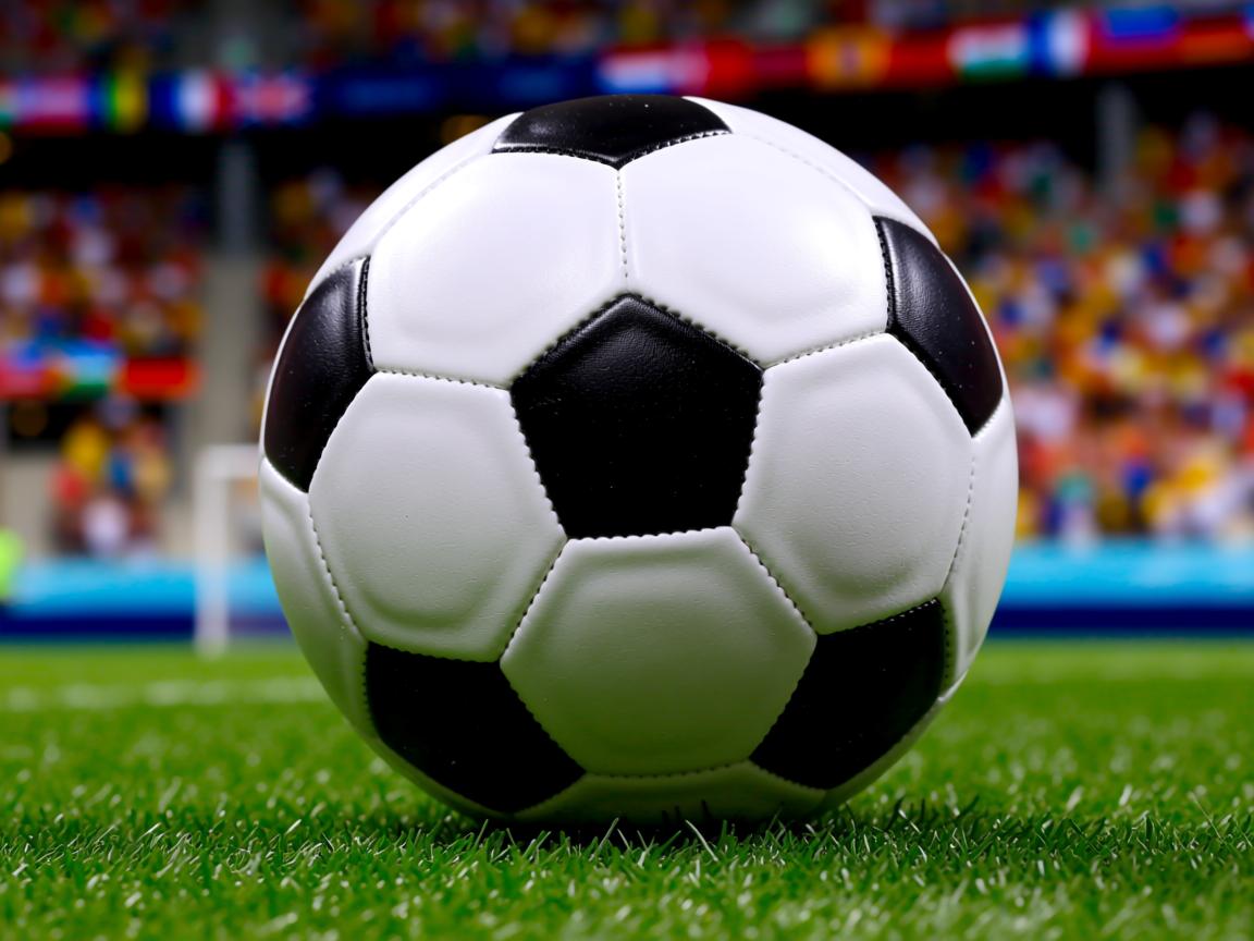 开云体育app入口-体育明星文创品牌亮相国际展会,体育明星文创品牌亮相国际展会图片 第2张