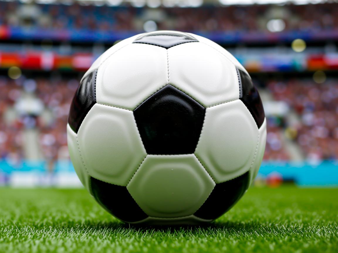 开云体育app入口-外教带队长期战略目标不明确，外教带队长期战略目标不明确怎么办  第2张